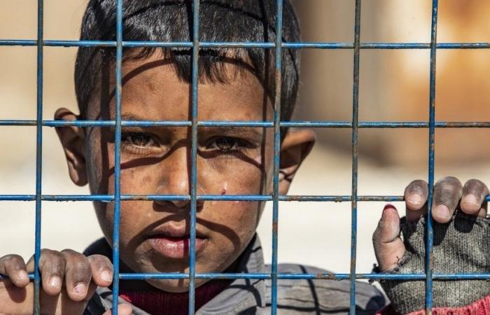 أطفال فى مخيمات داعش.. 40 ألف طفل "قنبلة كامنة".. و"إعادة التأهيل" فريضة غائبة.. حقوقيون يطالبون البرلمان الأوروبى بإعادة الأطفال قبل تلقينهم أيديولوجية الإرهاب.. ويتعجلون إنقاذهم بعد تقارير بوفاة 2 كل أسبوع