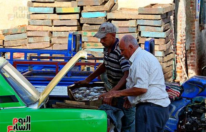 الرزق يحب الخفية .. بوغاز رشيد أقدم وأكبر ميناء في مصر .. يضم 1000 مركب و5000 صياد.. وشيخ الصيادين: طاولة السمك من 100 لـ 400 جنيه.. صور