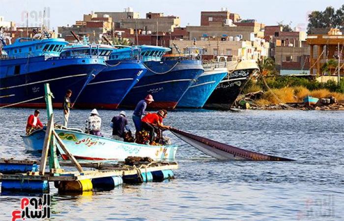 الرزق يحب الخفية .. بوغاز رشيد أقدم وأكبر ميناء في مصر .. يضم 1000 مركب و5000 صياد.. وشيخ الصيادين: طاولة السمك من 100 لـ 400 جنيه.. صور