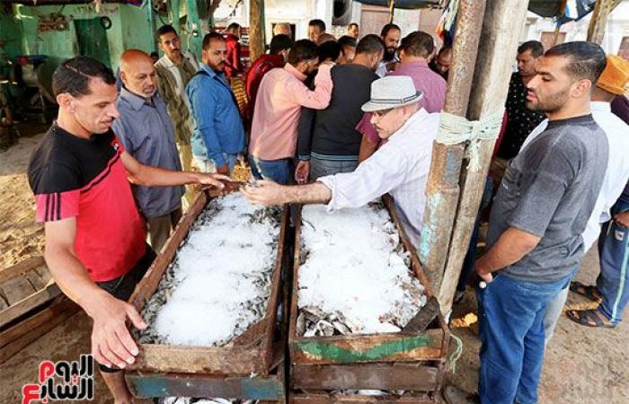 الرزق يحب الخفية .. بوغاز رشيد أقدم وأكبر ميناء في مصر .. يضم 1000 مركب و5000 صياد.. وشيخ الصيادين: طاولة السمك من 100 لـ 400 جنيه.. صور