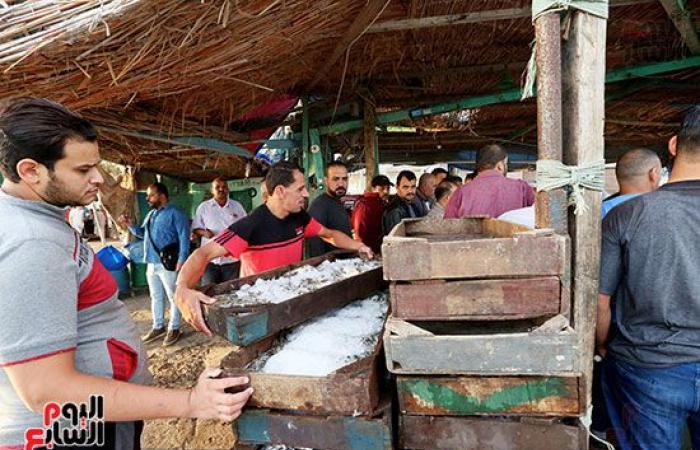 الرزق يحب الخفية .. بوغاز رشيد أقدم وأكبر ميناء في مصر .. يضم 1000 مركب و5000 صياد.. وشيخ الصيادين: طاولة السمك من 100 لـ 400 جنيه.. صور