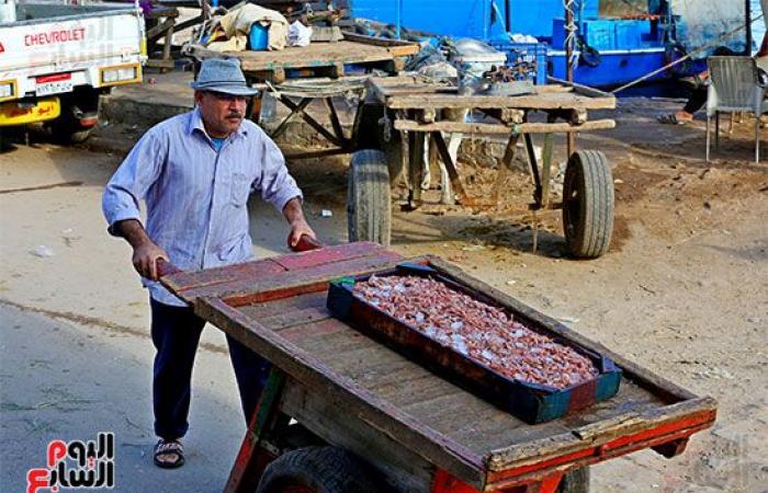 الرزق يحب الخفية .. بوغاز رشيد أقدم وأكبر ميناء في مصر .. يضم 1000 مركب و5000 صياد.. وشيخ الصيادين: طاولة السمك من 100 لـ 400 جنيه.. صور