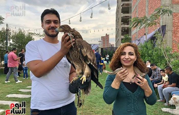 هواية الملوك.. الصقارة فن تدريب الصقور على الصيد.. غية من نوع خاص فى مصر يحترفها محبو الطيور الجارحة.. صقور وعقبان ونسور والشاهين تخطى سعره الـ7 ملايين جنيه.. وإيهاب: العلاقة مع الجوارح صداقة تحتاج لمهارة.. صور