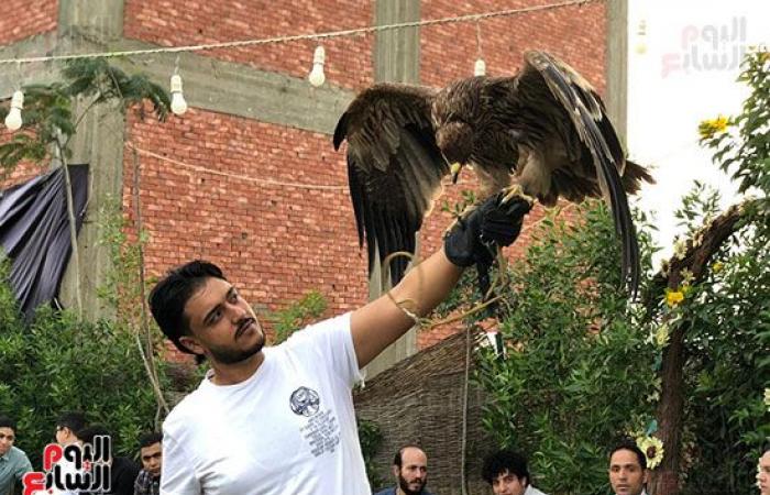 هواية الملوك.. الصقارة فن تدريب الصقور على الصيد.. غية من نوع خاص فى مصر يحترفها محبو الطيور الجارحة.. صقور وعقبان ونسور والشاهين تخطى سعره الـ7 ملايين جنيه.. وإيهاب: العلاقة مع الجوارح صداقة تحتاج لمهارة.. صور