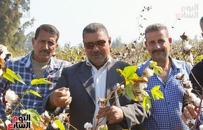 "يا قطن  يا حرايرى يا حزام أبو إسماعيل".. عاملات اليومية يودعن موسم جنى الذهب الأبيض بالشرقية.. "الزراعة": إنتاجية الفدان من 10 لـ12 قنطار.. و5735 أعلى سعر مسجل.. واستمرار منظومة التسويق حتى 15 ديسمبر.. صور