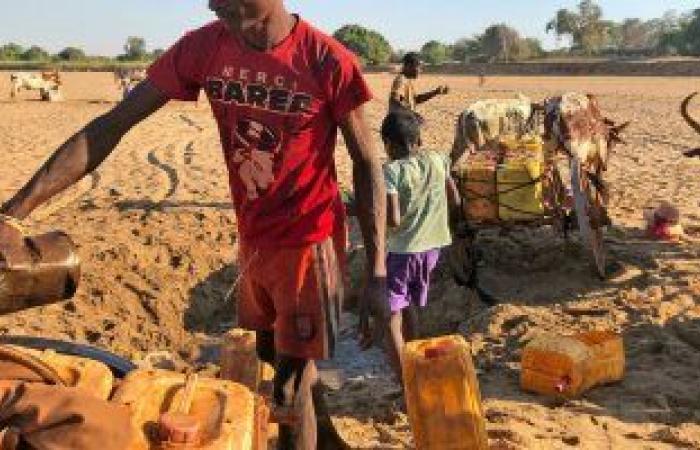 الصومال يئن من الجفاف.. إقليم "أرض الصومال" يعلن الطوارئ سبب قلة الأمطار.. مسئولون يتوقعون أكثر من 1,2 مليون شخص سيحتاج إلى مساعدة.. الحكومة تخصص 3 ملايين دولار وتدعو شركاءها للمساعدة.. وتحذيرات من تفاقم الوضع