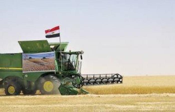 خريطة مصر الزراعية لـ10 محاصيل رئيسية عام 2020.. القمح ارتفع إنتاجه لـ9.1 مليون طن بزيادة 6.3%.. وقصب السكر لـ15.9 مليون طن.. وأنتجنا 6.8 مليون طن.. والصوب زادت لـ340.4 ألف طن.. و1.35 مليون طن إنتاج الموز
