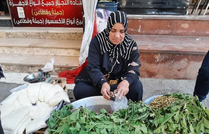 كفاح وعزيمة وسعى بالحلال.. "أم آية" بيتها مفتوح منذ أكثر من 25 عاما من بيع فاكهة التوت لأهالى مدينة الزقازيق.. وتوفى زوجها فأصبحت أم وأب لأبنائها.. وتصنع المعجنات لبيعها طوال العام.. وتشرح فوائده.. فيديو وصور