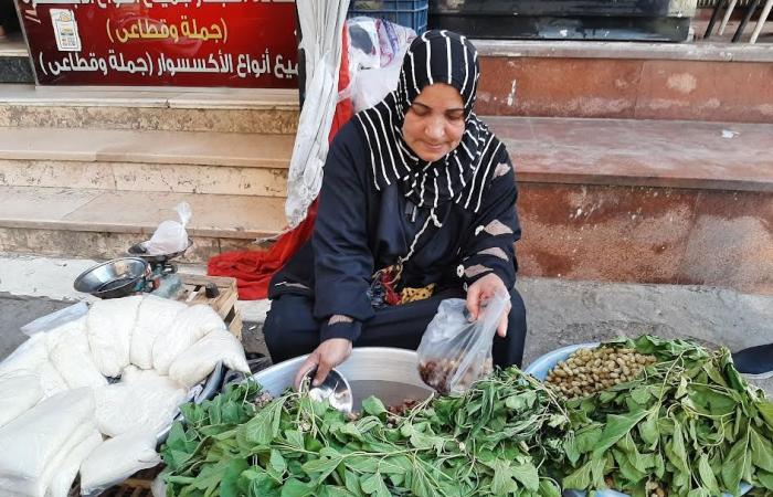 كفاح وعزيمة وسعى بالحلال.. "أم آية" بيتها مفتوح منذ أكثر من 25 عاما من بيع فاكهة التوت لأهالى مدينة الزقازيق.. وتوفى زوجها فأصبحت أم وأب لأبنائها.. وتصنع المعجنات لبيعها طوال العام.. وتشرح فوائده.. فيديو وصور