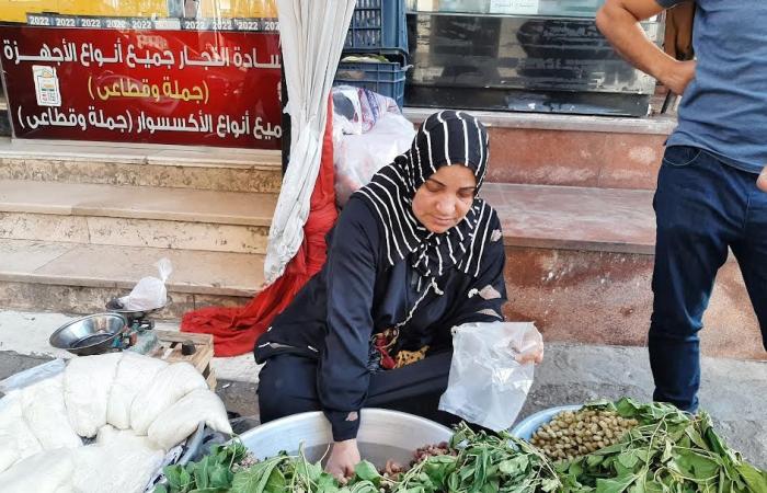 كفاح وعزيمة وسعى بالحلال.. "أم آية" بيتها مفتوح منذ أكثر من 25 عاما من بيع فاكهة التوت لأهالى مدينة الزقازيق.. وتوفى زوجها فأصبحت أم وأب لأبنائها.. وتصنع المعجنات لبيعها طوال العام.. وتشرح فوائده.. فيديو وصور