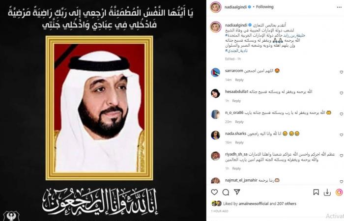 نجوم الفن ينعون الشيخ خليفة بن زايد.. تامر حسنى يطلب من جمهوره الدعاء لرئيس الإمارات الراحل.. عمرو دياب يعزى الشعب الشقيق.. إليسا: سيذكر التاريخ صاحب الأيادى البيض.. ونانسى عجرم: فقدت الأمة قائدا وطنيا شجاعا