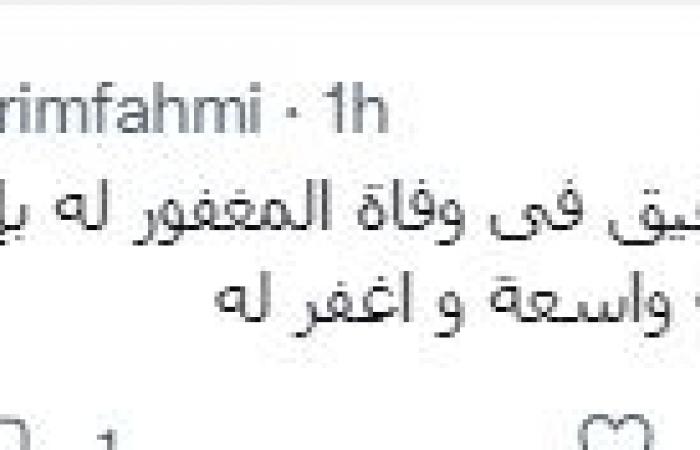 نجوم الفن ينعون الشيخ خليفة بن زايد.. تامر حسنى يطلب من جمهوره الدعاء لرئيس الإمارات الراحل.. عمرو دياب يعزى الشعب الشقيق.. إليسا: سيذكر التاريخ صاحب الأيادى البيض.. ونانسى عجرم: فقدت الأمة قائدا وطنيا شجاعا