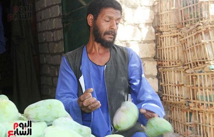 المانجو الأسوانى مياه حلوه وطعم تانى.. مزارعو قرية فارس يواصلون جني "المانجو" فى أسوان.. ويؤكدون: أسواق القاهرة والإسكندرية تنتعش بأول حصاد على مستوى الجمهورية.. "الكيت والتومى والكيرمز والناعومى" أبرز الأصناف