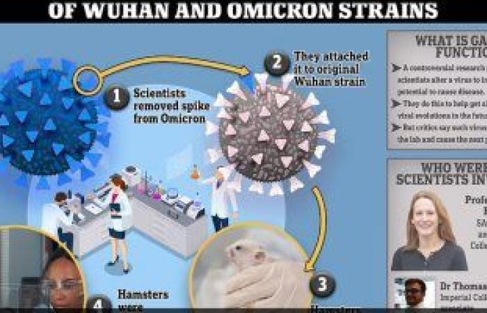 "اللعب بالنار".. تجارب معملية على سلالات كورونا لخلق متحور هجين أكثر فتكا.. خبراء يحذرون من هذه الأبحاث.. ويؤكدون: تنتج سلالة أكثر شراسة.. ومسئولو البحث يدافعون: هدفنا التنبؤ بالمتحورات المتطورة