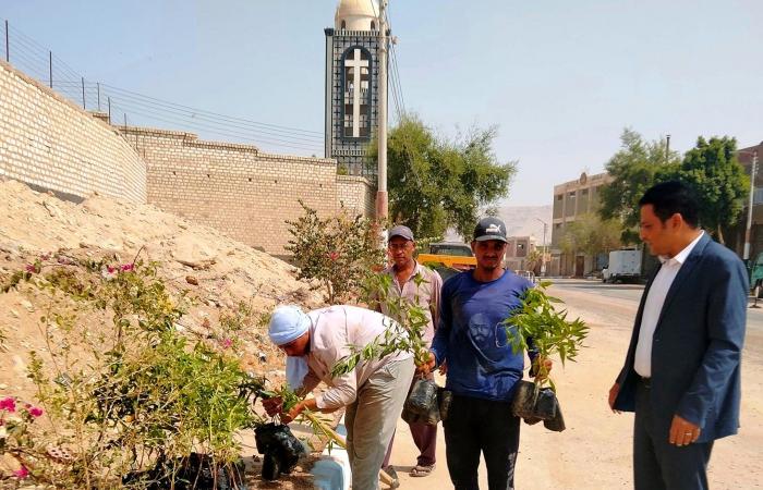 سوهاج تشارك فى مبادرة  100 مليون شجرة.. زراعة 213 ألف شجرة مثمرة بمحيط المدارس ومراكز الشباب والمصالح الحكومية والمستشفيات.. التنمية المحلية تسلم المحافظة 170 ألف شجرة.. والمحافظ يطلق"أحلى وهى خضراء"