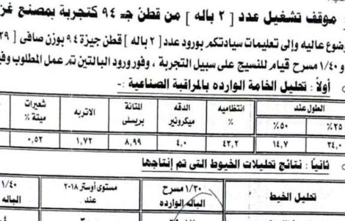 قطن العوينات فى العالى.. نتائج ممتازة لخامات الذهب الأبيض فى تصنيع الغزل مقارنة بجيزة 94 و95.. بدء زراعة 1000 فدان وتدشين محلج بجوار الزراعات الفترة المقبلة.. وخبير يطالب بتعميم زراعته.. صور