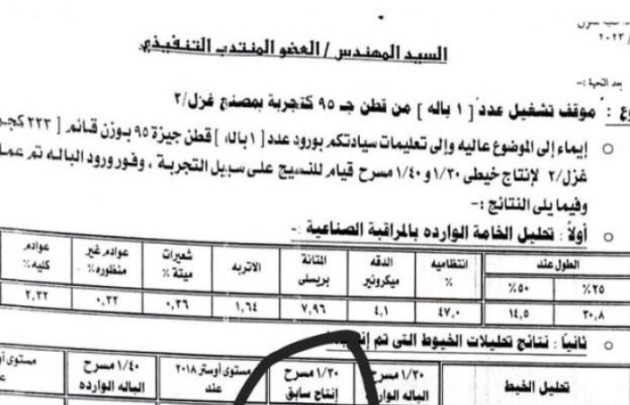 قطن العوينات فى العالى.. نتائج ممتازة لخامات الذهب الأبيض فى تصنيع الغزل مقارنة بجيزة 94 و95.. بدء زراعة 1000 فدان وتدشين محلج بجوار الزراعات الفترة المقبلة.. وخبير يطالب بتعميم زراعته.. صور