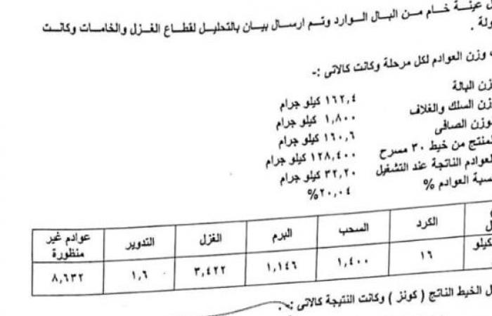 قطن العوينات فى العالى.. نتائج ممتازة لخامات الذهب الأبيض فى تصنيع الغزل مقارنة بجيزة 94 و95.. بدء زراعة 1000 فدان وتدشين محلج بجوار الزراعات الفترة المقبلة.. وخبير يطالب بتعميم زراعته.. صور