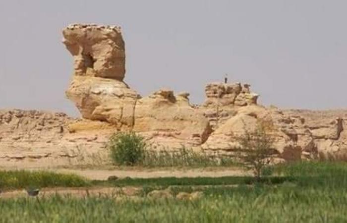 حكايات من الواحات.. طريق الخارجة الداخلة أنشأه إنسان ما قبل التاريخ واشتهر باسم درب الغبارى.. آثاره خلدتها مخربشات وتحكى معالم السير على هذا الطريق.. وأبرز معالمه صخرة الجبل الرابض وحضارة الشيخ مفتاح.. صور