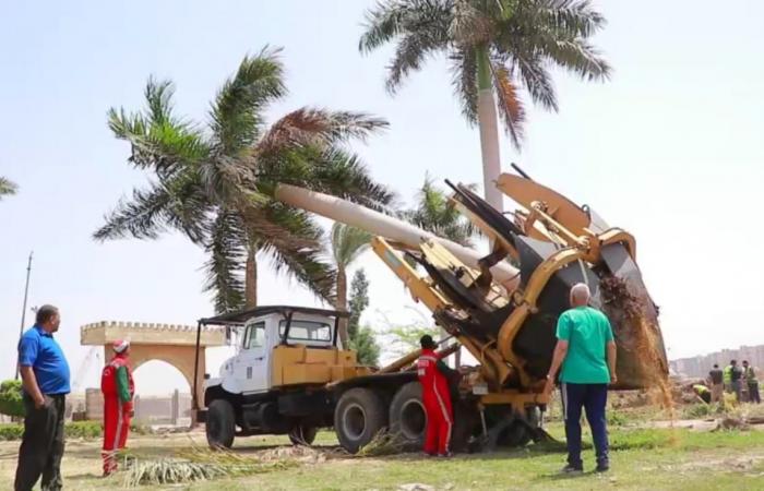 محافظة القاهرة توسع شارع الفسطاط لإنشاء محور حر يخدم الحركة المرورية للقادم من الكورنيش.. إزالة كوبرى العاشر وتوحيد اتجاه الشارع وإنشاء سور بديل لقرية الفواخير.. وهيئة النظافة تنقل النخيل بمعدات حديثة.. صور