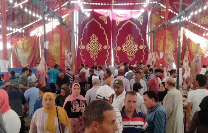 ايدينا فى إيد بعض.. تخفيف الأعباء عن كاهل المواطنين خلال عيد الأضحى بالبحيرة.. "معا ضد الغلاء" تدشن أضخم معارض بيع اللحوم البلدية بسعر 220 جنيها للكيلو.. وإقبال متزايد من المواطنين لشراء احتياجاتهم من اللحوم