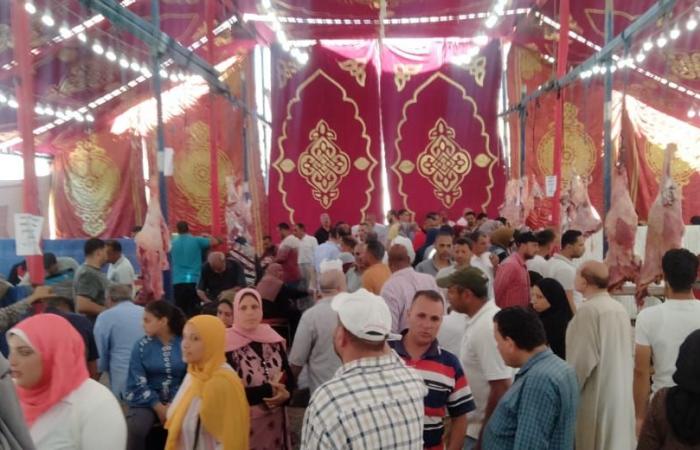 ايدينا فى إيد بعض.. تخفيف الأعباء عن كاهل المواطنين خلال عيد الأضحى بالبحيرة.. "معا ضد الغلاء" تدشن أضخم معارض بيع اللحوم البلدية بسعر 220 جنيها للكيلو.. وإقبال متزايد من المواطنين لشراء احتياجاتهم من اللحوم