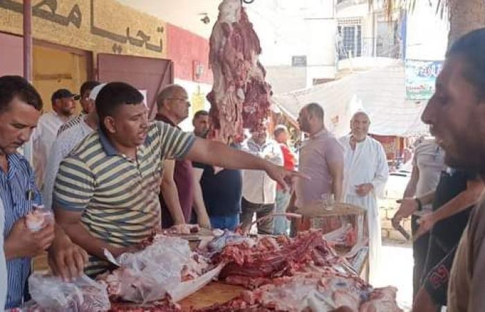 ايدينا فى إيد بعض.. تخفيف الأعباء عن كاهل المواطنين خلال عيد الأضحى بالبحيرة.. "معا ضد الغلاء" تدشن أضخم معارض بيع اللحوم البلدية بسعر 220 جنيها للكيلو.. وإقبال متزايد من المواطنين لشراء احتياجاتهم من اللحوم