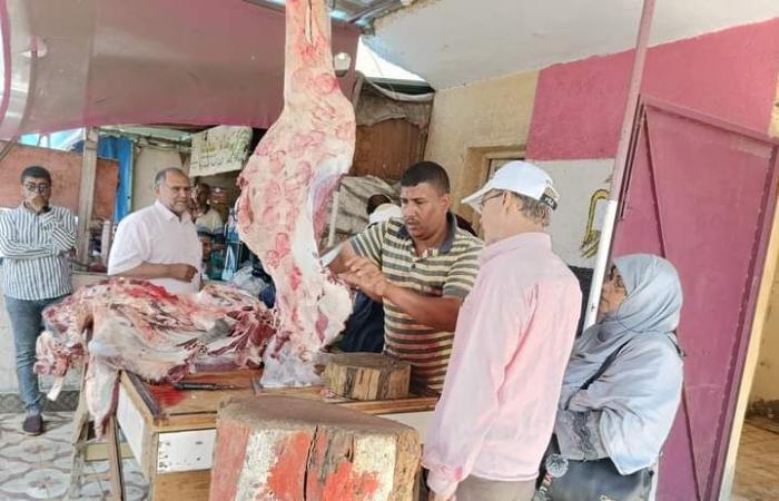 ايدينا فى إيد بعض.. تخفيف الأعباء عن كاهل المواطنين خلال عيد الأضحى بالبحيرة.. "معا ضد الغلاء" تدشن أضخم معارض بيع اللحوم البلدية بسعر 220 جنيها للكيلو.. وإقبال متزايد من المواطنين لشراء احتياجاتهم من اللحوم