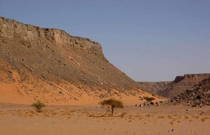 خفايا إنسان ما قبل التاريخ توثقها محمية الجلف الكبير بالوادى الجديد.. استكشفها الأمير كمال الدين حسين عام 1923.. شهدت الحرب العالمية الثانية وتم إعلانها محمية طبيعية فى 2007.. وتزخر بالسيليكا غالية الثمن.. صور