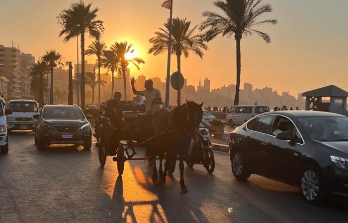 على أرضها اتمخطر يا أسطى.."الحنطور" الإسكندرانى فسحة المصيفين بعروس المتوسط.. مواصلات زمان تحولت إلى وسيلة للفسحة.. جولة على الكورنيش من القلعة للمكتبة بـ 50 جنيها.. وأصحابها: نعتمد على القادمين من الخارج.. صور