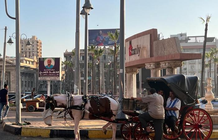 على أرضها اتمخطر يا أسطى.."الحنطور" الإسكندرانى فسحة المصيفين بعروس المتوسط.. مواصلات زمان تحولت إلى وسيلة للفسحة.. جولة على الكورنيش من القلعة للمكتبة بـ 50 جنيها.. وأصحابها: نعتمد على القادمين من الخارج.. صور