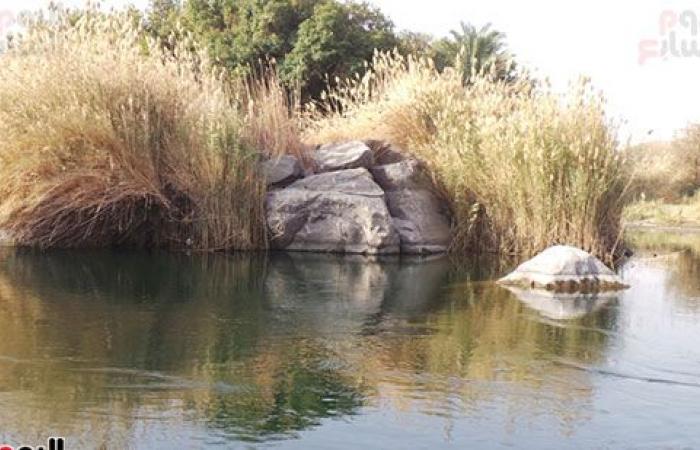 محميات طبيعية ساحرة فى مصر.. "سالوجا وغزال" تقع على جزيرة وسط النيل بأسوان.. مساحتها صغيرة وعمرها يرجع لأكثر من 500 مليون سنة.. وتضم 120 نوعا نباتيا مختلفا ومركزا رئيسيا للطيور المهاجرة.. صور