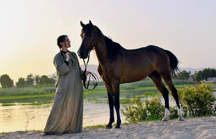 على أرضها اتمخطر واتفسح.. سياح العالم يستمتعون برحلات الخيول بين الزراعات للوقاية من حرارة الطقس غرب الأقصر.. أفواج سياحية تستقل الخيول بالبر الغربى ويلتقطون الصور التذكارية.. ومرشد سياحى: فرصة للاستجمام.. صور