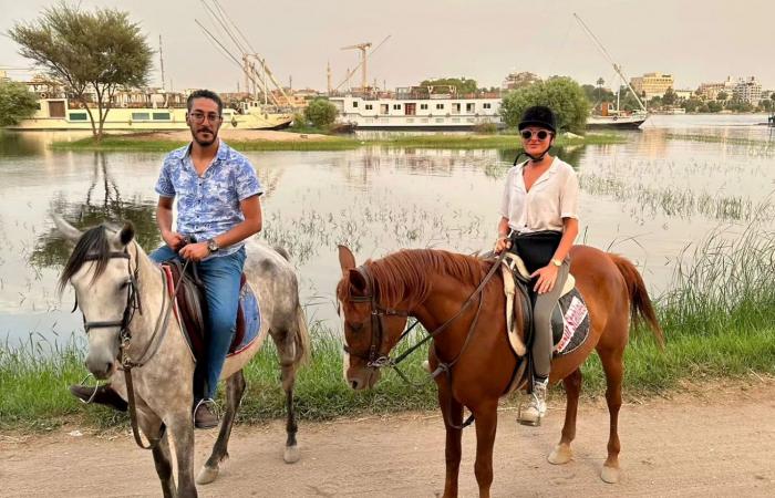 على أرضها اتمخطر واتفسح.. سياح العالم يستمتعون برحلات الخيول بين الزراعات للوقاية من حرارة الطقس غرب الأقصر.. أفواج سياحية تستقل الخيول بالبر الغربى ويلتقطون الصور التذكارية.. ومرشد سياحى: فرصة للاستجمام.. صور