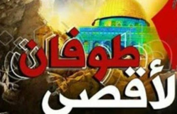 طوفان الأقصى .. فلسطين بقلم رحاب مدين