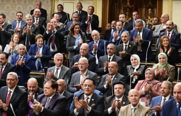 برلماني: قرارات الرئيس السيسي «تاريخية» وتعكس انحيازه التام للمواطنين