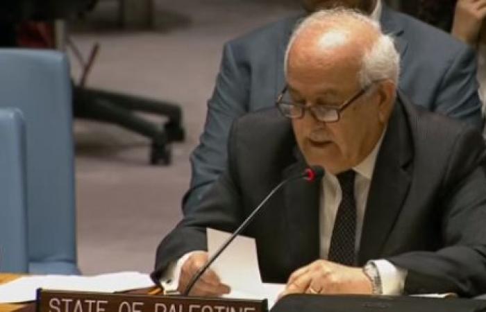 مندوب فلسطين لدى الأمم المتحدة: "الفيتو" الأمريكى يحمى إسرائيل ولا يحمى أطفال فلسطين