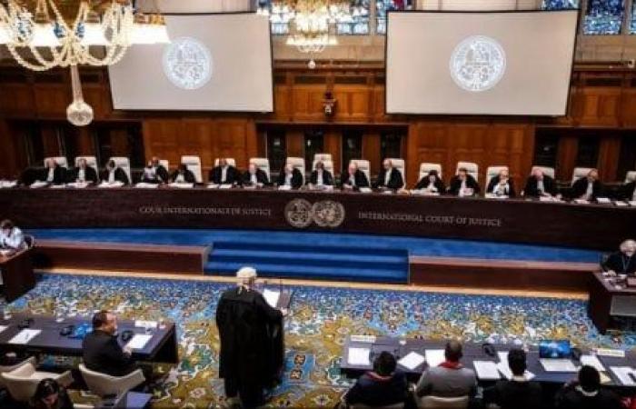 عضو لجنة فلسطين بنقابة المحامين: مرافعة مصر أمام محكمة العدل فضحت جرائم الاحتلال