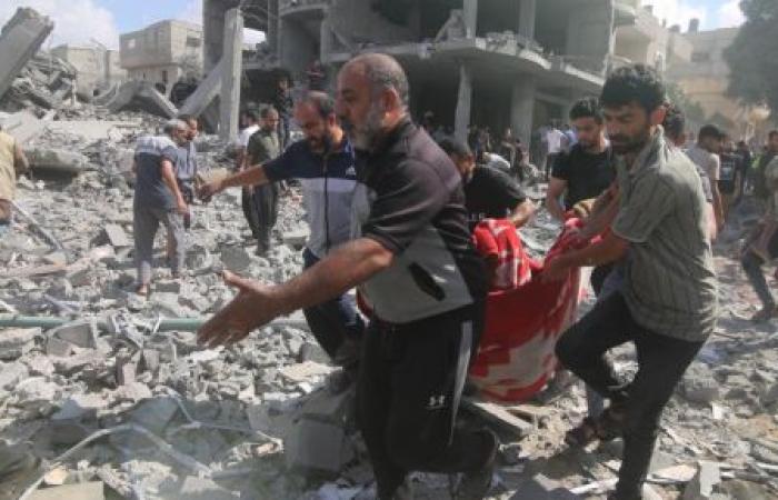سيناتور أمريكى عن الفلسطينيين وأطفال غزة: يجب قتلهم جميعا.. فيديو