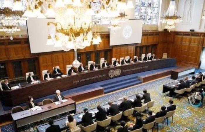 نائب: مرافعة مصر أمام محكمة العدل دعوة لاتخاذ موقف حاسم أمام انتهاكات إسرائيل
