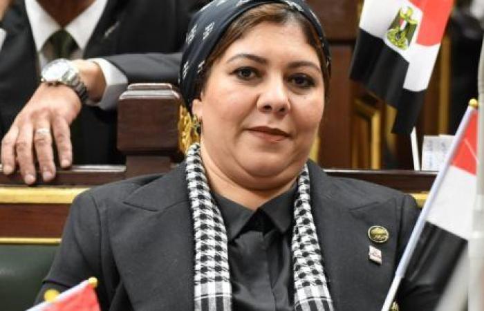 برلمانية: مرافعة مصر أمام محكمة العدل فضحت ممارسات الاحتلال الإسرائيلى