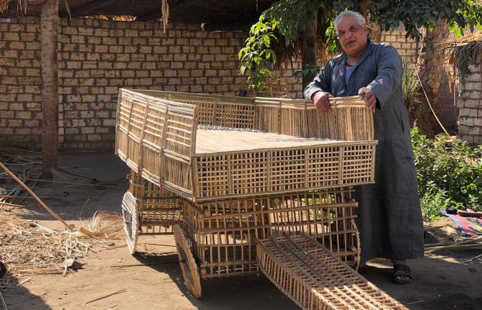 صناعة منتجات الجريد بسقارة.. تراث تصونه إبداعات عبد التواب زلط منذ 55 عامًا.. رحلة بدأها طفلا بأقفاص الخضار وبلمسة جمالية شكل تحف وأنتيكات.. ويؤكد: تطوير المهنة حافظ عليها من الاندثار.. ومنتجاتنا تصدر للخارج