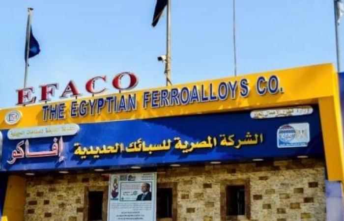 المصرية للسبائك: خطة لتعظيم صادرات غبار السيليكا و116 مليون جنيه صادرات عام واحد