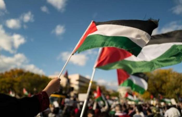 رئيس التحرير يكتب : هل ضاعت القضية الفلسطينية ؟