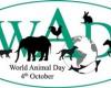 في اليوم العالمي للحيوان.. كيف تحمي أطفالك مع تربية الحيوانات داخل المنزل؟