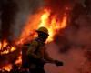 تغير المناخ يهدد رئة الأرض.. الأمازون تسجل 8344 حريقا خلال 6 أشهر فى أعلى مستوى منذ 16 عاما.. البرازيل تتعهد بإنهاء تدمير الأشجار بحلول 2030.. ألمانيا تقدم مساعدات 35 مليون يورو وواشنطن 500 مليون دولار