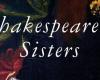 أخوات شكسبير.. كيف ألفت النساء الكتب فى عصر النهضة؟